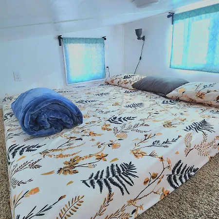 Tiny Home Hot Tub Colorado City Extérieur photo